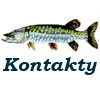 Kontakty