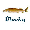 Úlovky