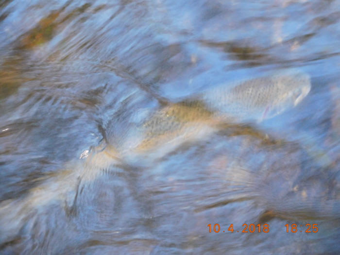 DSCN2090