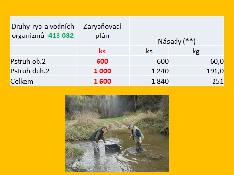 Zarybnění 2